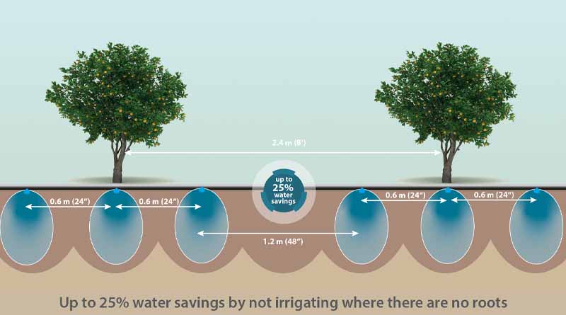 Make your drip irrigation more efficient by only irrigating where your plants are, and ‘skipping’ where they are not