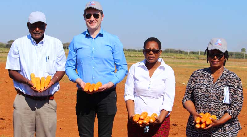 Bram Govaerts appointed as CIMMYT Director General