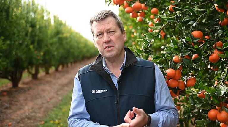 Fruit fly control easy and effective with Naturalure