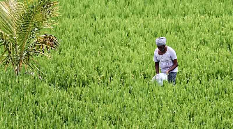 Central Government prohibits export of Non-Basmati White Rice; Small & marginal farmers to be impacted