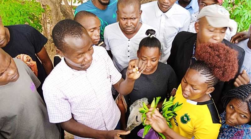 Training Kenya’s young farmers and women to help ensure greater food security