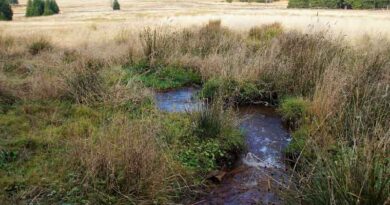 Boosting Agriculture Resilience: Coalition Government's Ambitious Plan to Tackle Waterlogging in Julana