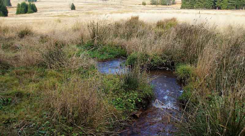 Boosting Agriculture Resilience: Coalition Government's Ambitious Plan to Tackle Waterlogging in Julana