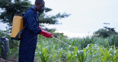 How young people are bringing nature-based solutions to farmers