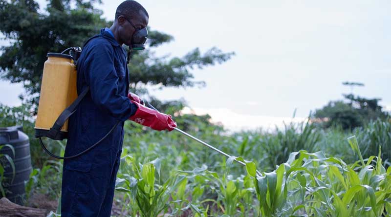 How young people are bringing nature-based solutions to farmers