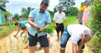 Prof H.K.Chaudhary, Vice-Chancellor transplants basmati with blast resistance genes