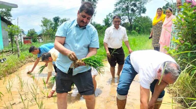 Prof H.K.Chaudhary, Vice-Chancellor transplants basmati with blast resistance genes