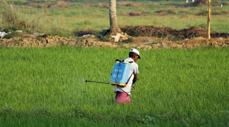70% sowing of Kharif crop completed with bountiful rains, 8 lakh hectare increase in coverage area