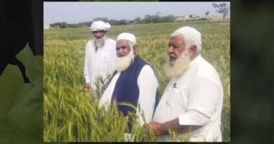 Delivering Zinc Wheat To Flood-Affected Areas Of Pakistan