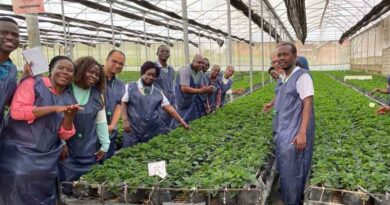 CABI and USDA hold workshop in Uganda to promote electronic phytosanitary certificate among AU Member States
