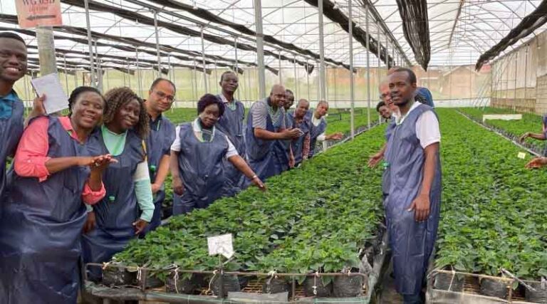 CABI and USDA hold workshop in Uganda to promote electronic phytosanitary certificate among AU Member States