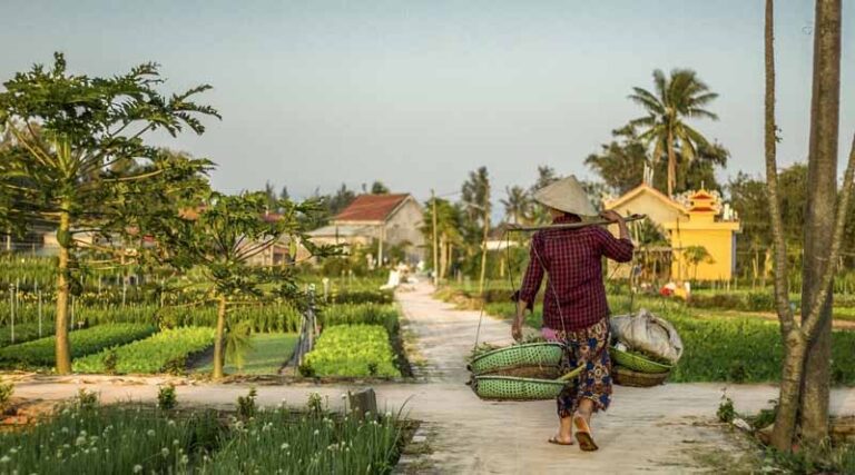 CABI’s contributions to data-driven decision making in agriculture: Insights from AgroFood 2023