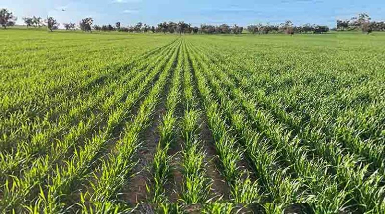 Promising start following uncertainty around seasonal outlook