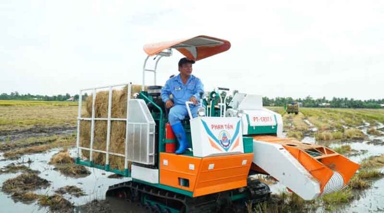 Showcasing rice straw innovations for farmers in Vietnam’s Mekong River Delta