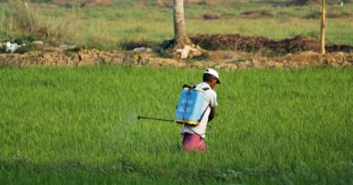 India surpasses the USA to become the second-largest exporter of agrochemicals