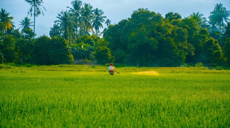 Supreme Court challenges government on pesticides ban, says "You Keep Appointing Committees Till You Get A Favorable Decision."