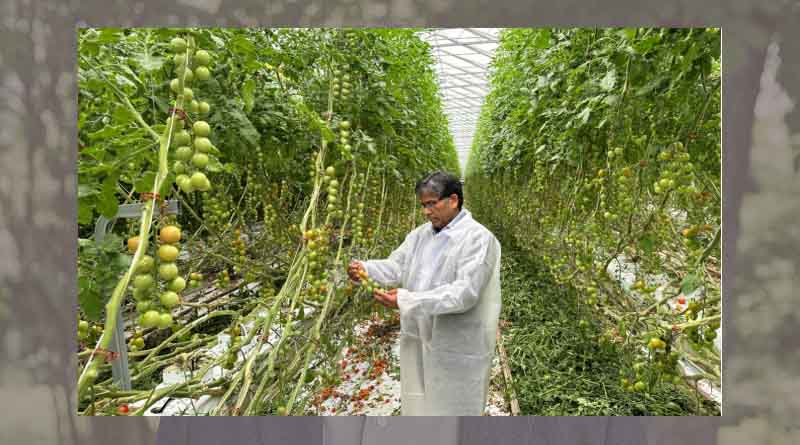 Bionema launches new range of biofertilisers