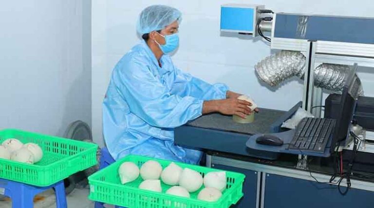 Coconut exports expected to achieve the USD 1 billion target by 2025