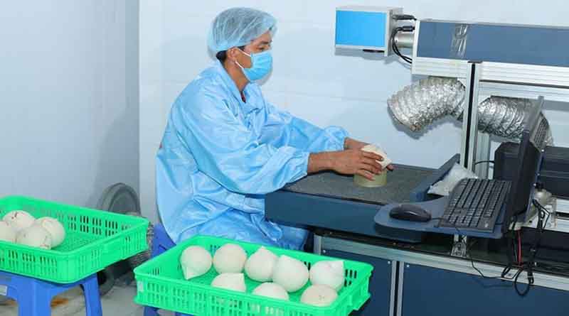 Coconut exports expected to achieve the USD 1 billion target by 2025