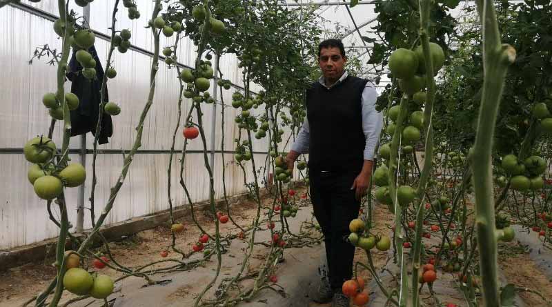 Blended learning: enhancing higher education with CABI Academy