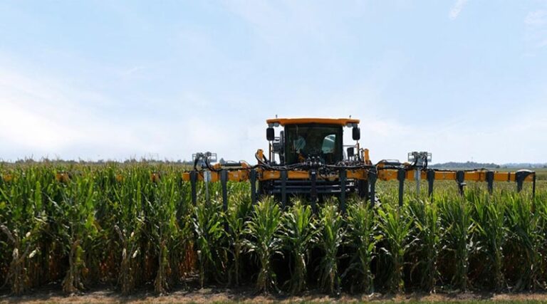 Gene Editing: Pairwise and Bayer start new five-year multi-million Dollar collaboration to further advance short-stature corn