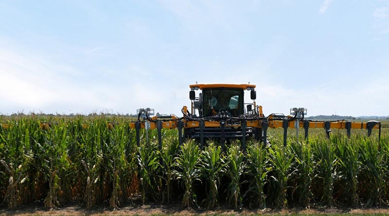 Gene Editing: Pairwise and Bayer start new five-year multi-million Dollar collaboration to further advance short-stature corn
