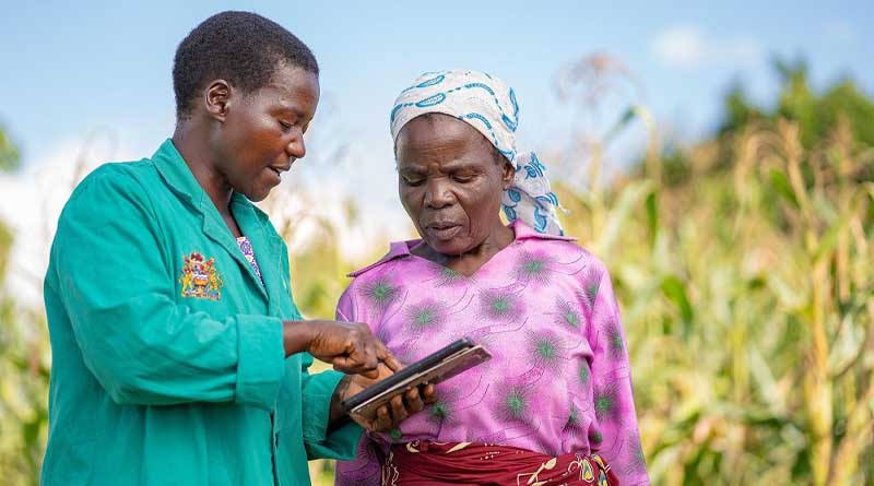 CABI and EWS-KT join hands to improve information accessibility in agriculture