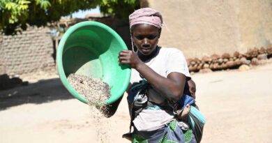 Joint Statement from CGIAR System Board and ICRISAT Board Chairs