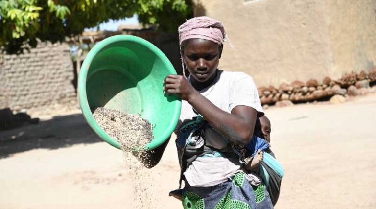 Joint Statement from CGIAR System Board and ICRISAT Board Chairs