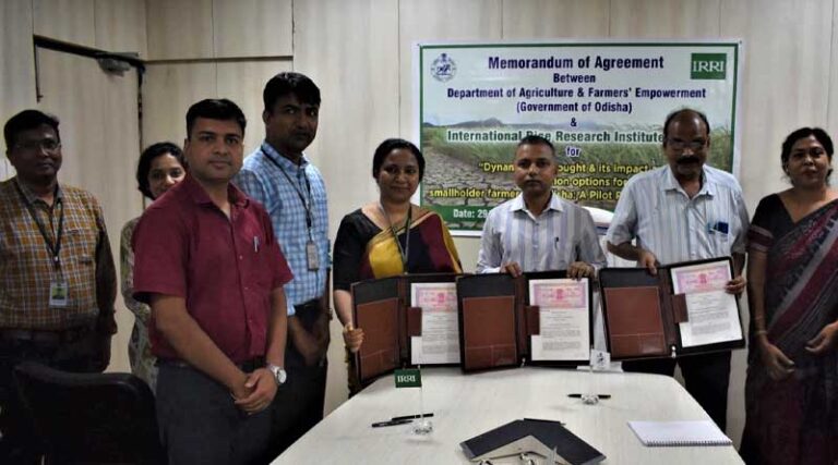 IRRI and Odisha government in India to collaborate on an initiative to strengthen state’s drought mitigation plan