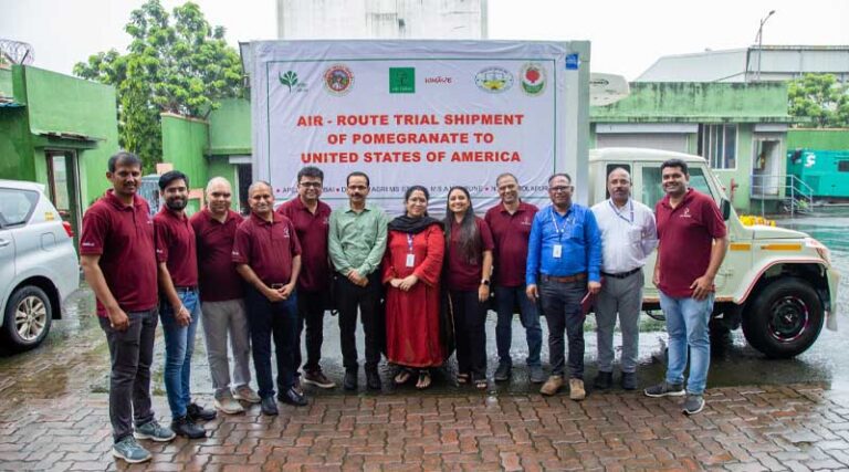 INI Farms exports Kimaye Pomegranate from India to the USA