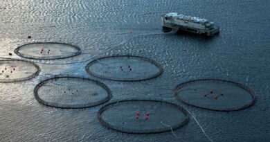 China to accelerate development of deep-sea, far-sea mariculture