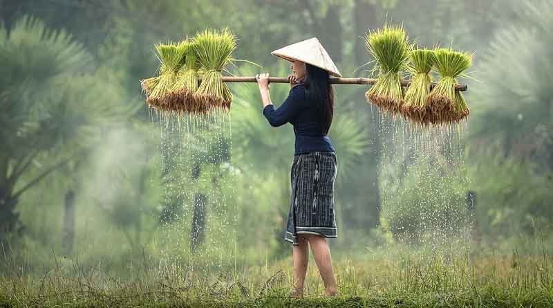 Bonn Climate Change Conference 2023 – On the road to COP28: What are the implications for agriculture and smallholder farmers?