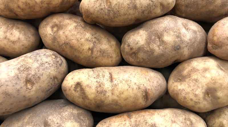 Optimizing Potato Storage: Strategies and Solutions for Effective Sprout Control