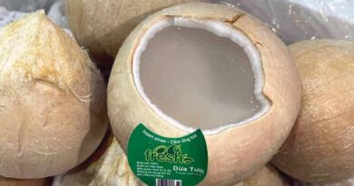 Opening the US market for Vietnamese skull coconut product