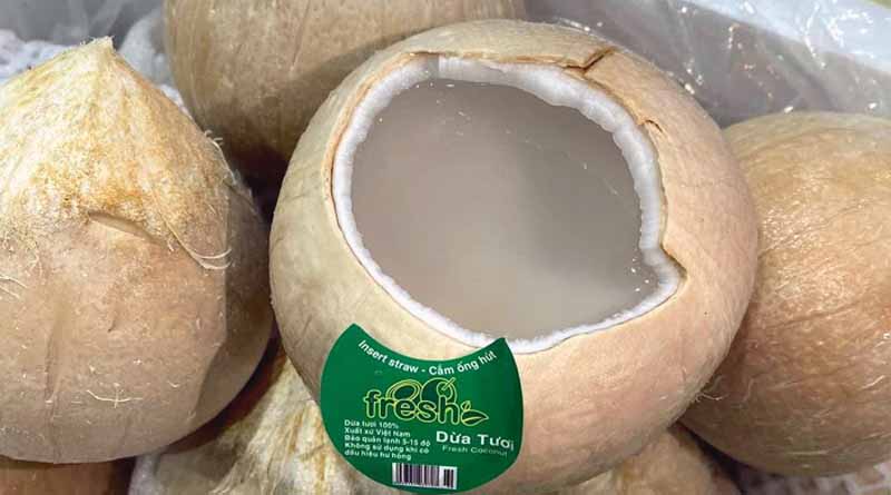 Opening the US market for Vietnamese skull coconut product