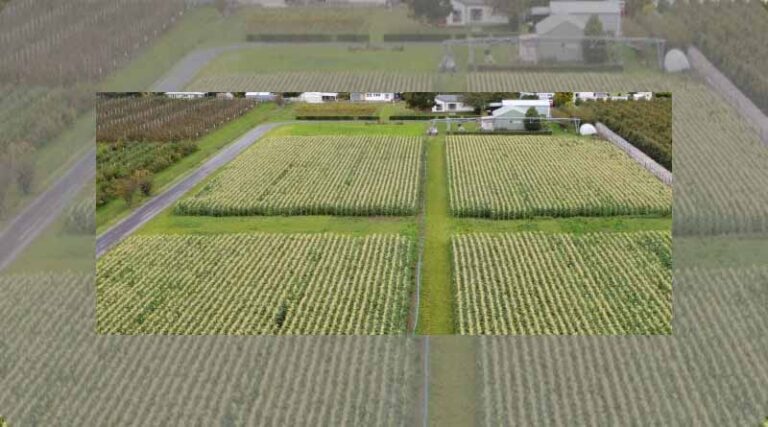 Carbon positive - a six-year trial of regenerative cropping