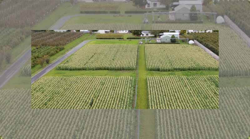 Carbon positive - a six-year trial of regenerative cropping