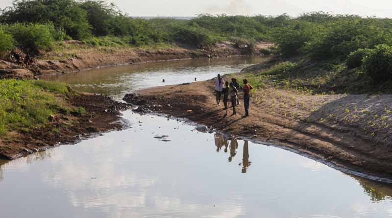 FAO and UK launch anticipatory action to reduce El Niño’s impact on at-risk communities in Somalia