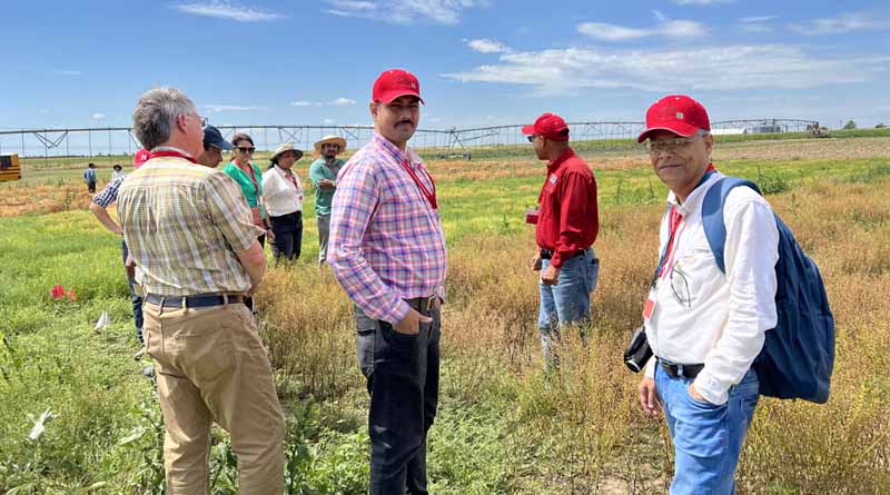 ICRISAT's Pearl Millet Research Inspires US Farmers at International Millets Conference