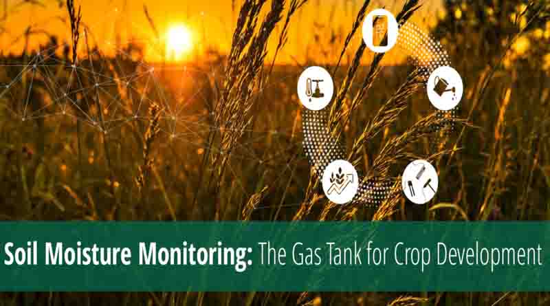 Soil Moisture Monitoring: The Gas Tank for Crop Development