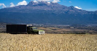 Unveiling the Nexus between Agrifood Systems and Climate Change: Harvesting insights from latest IPCC report