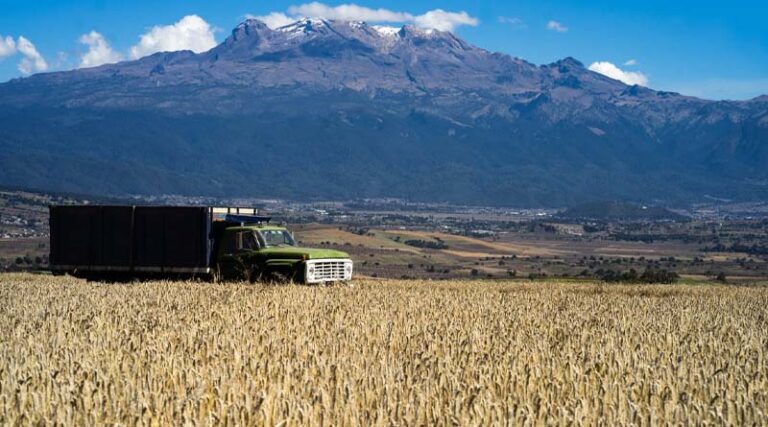 Unveiling the Nexus between Agrifood Systems and Climate Change: Harvesting insights from latest IPCC report