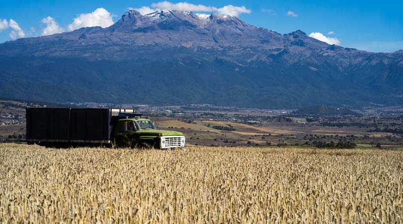 Unveiling the Nexus between Agrifood Systems and Climate Change: Harvesting insights from latest IPCC report
