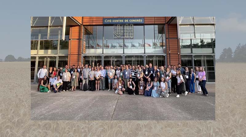 4th European Conference on Xylella: ‘Research is advancing; preparedness and early detection remain key’
