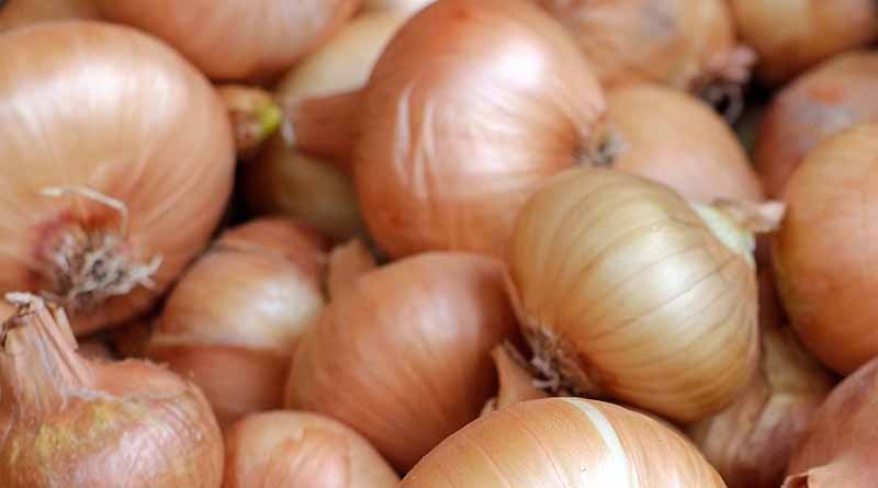 NCCF starts to sell onions at Rs 25 a kg from Monday; government increases buffer stock to 5 lakh tonnes