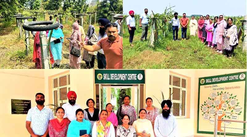PAU trains horticulture officers in dragon fruit cultivation