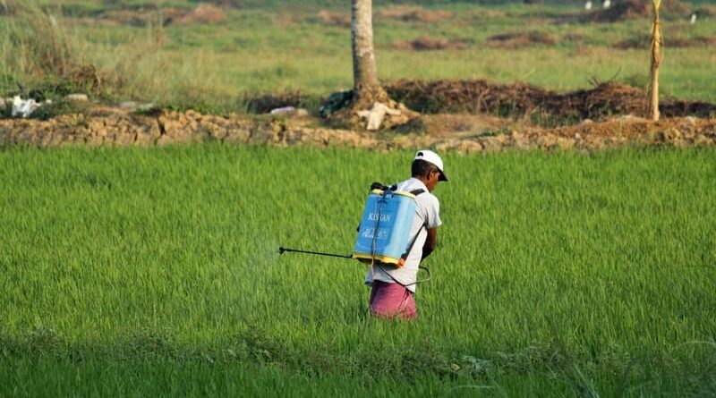 Nano urea is the future of modern agriculture - Dr. Banwari Lal