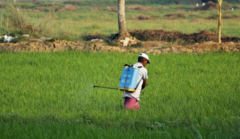 What is the Indian Government doing to reduce the use of chemical fertilizers?
