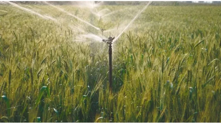 China activates Level III emergency response for major agricultural disasters
